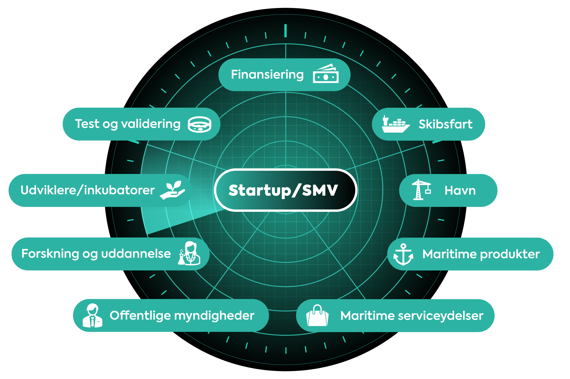 Innovationsøkosystem